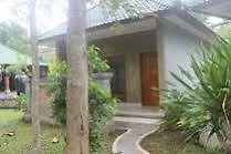 Wana Ukir Ubud 3*, Ubud (Bali)
